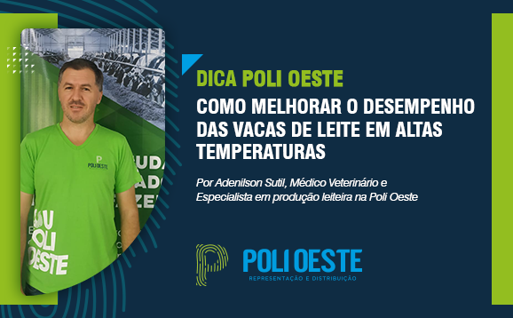 DICA POLI OESTE - JANEIRO